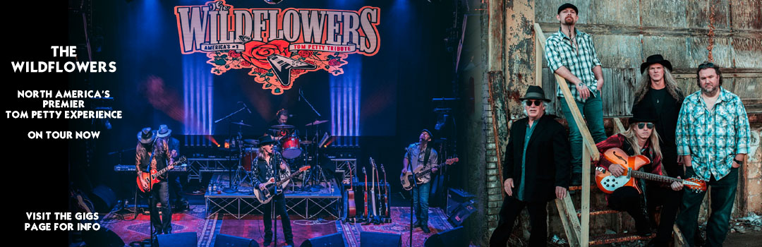 The Wildflowers, North America's Premier Tom Petty Experience - On tour now. Visit the Gigs page for info