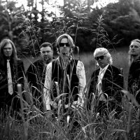 The Wildflowers, 2012